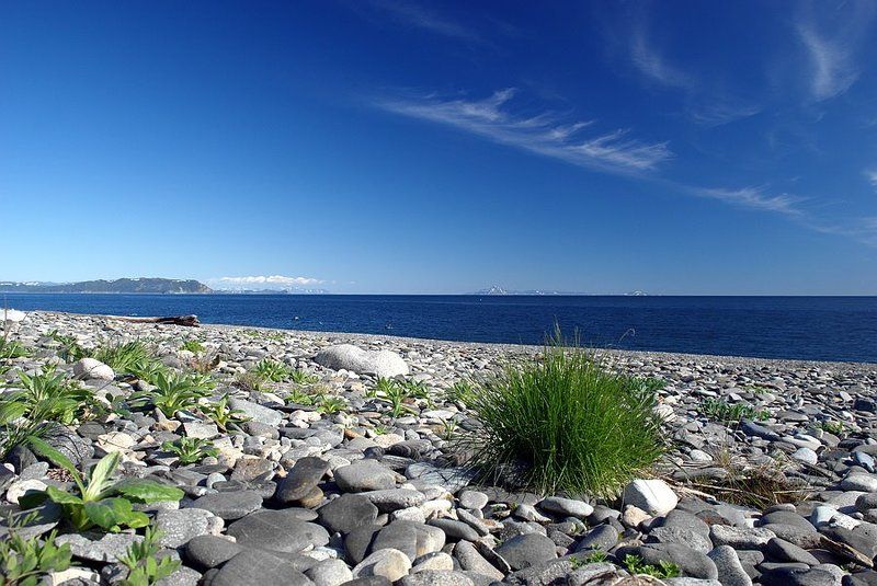 пейзаж про бодрый куст...) фото превью