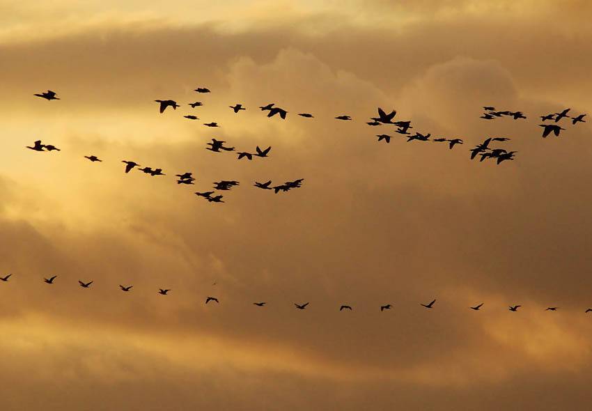 , Юрий Охлопков