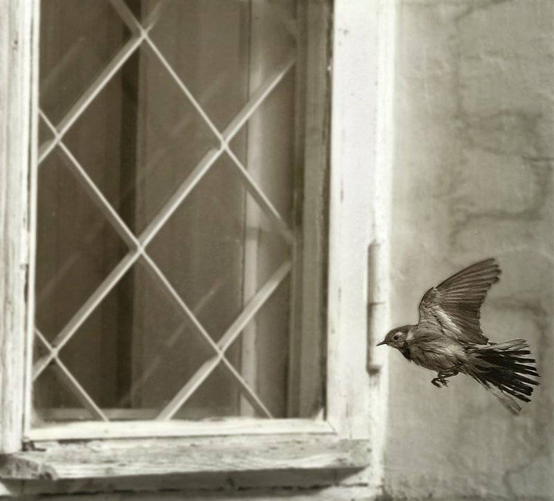 , Лямеборшай Валерия