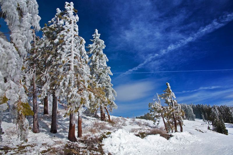 alpine, meadows, (ca) Alpine Meadows (CA) фото превью
