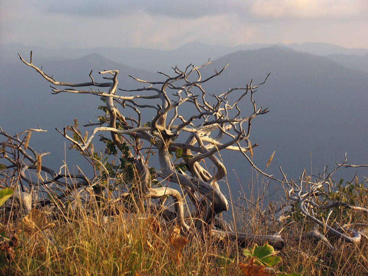 горы,кавказ,туризм,черногор, Сергей Павлов