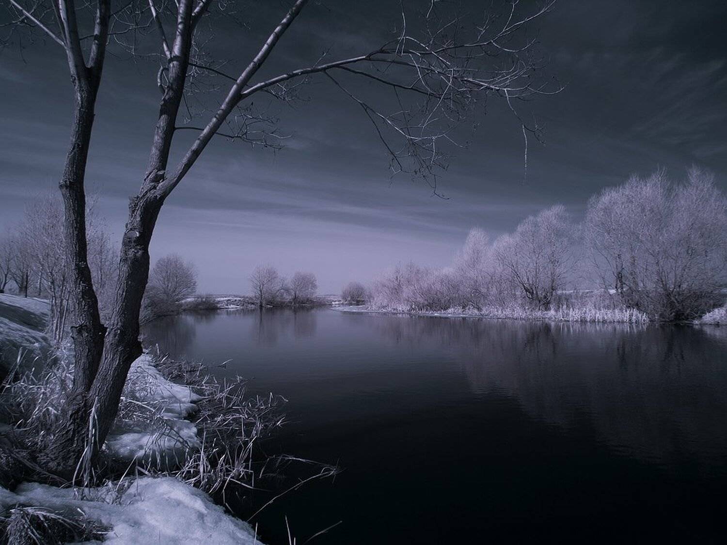 , Максим Евдокимов