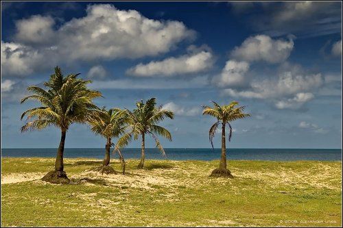 Три... Нет, четыре 