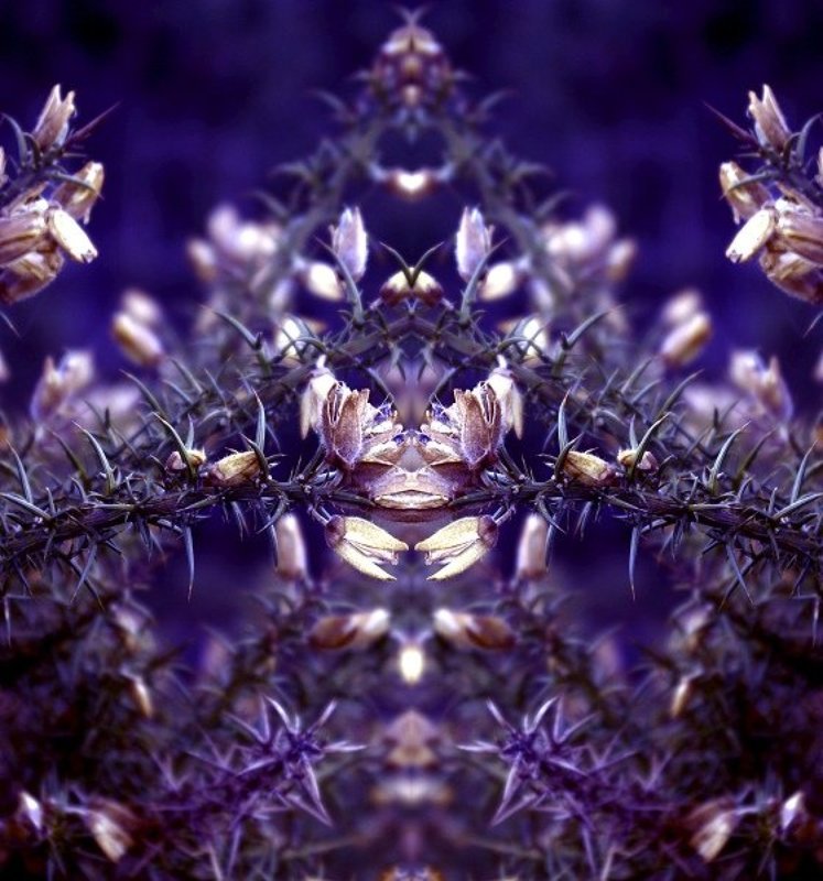 ### фото превью