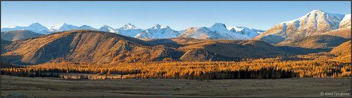 Южно-Чуйский хребет в золоте