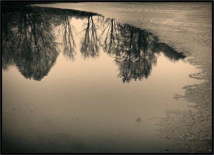 , Лунный Ежик