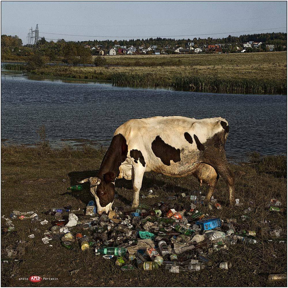 , Виктор Перякин