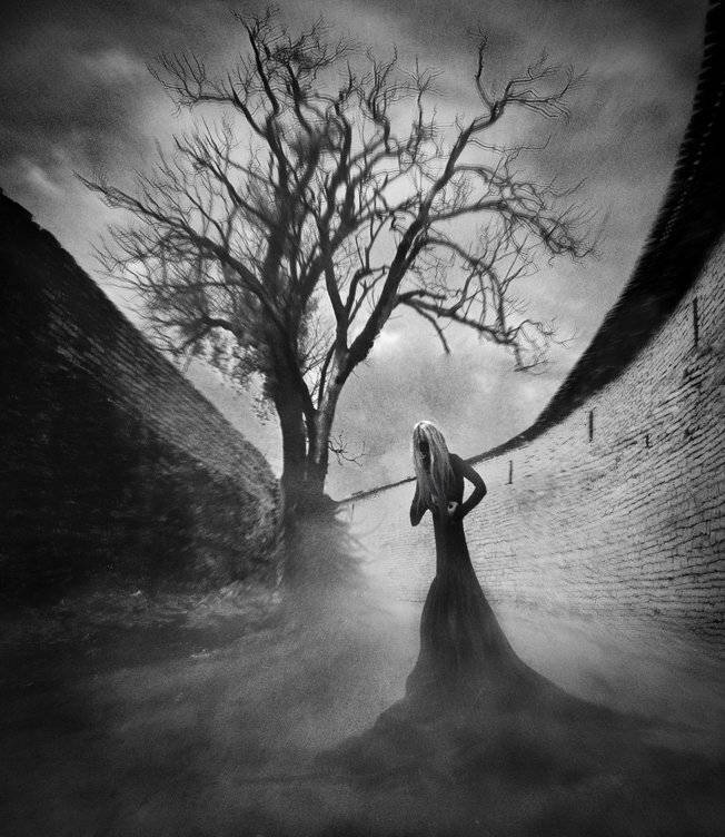 wwwest, Семенов Арсений