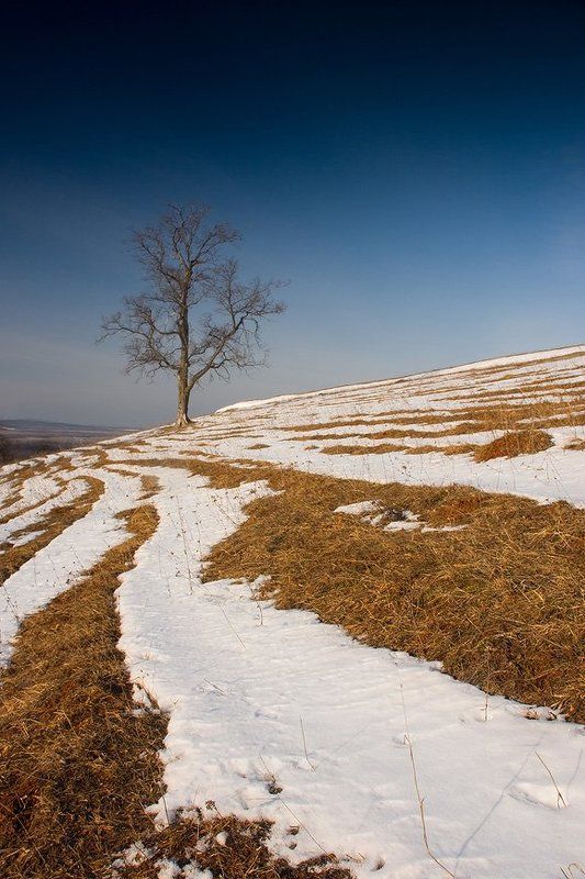 Время Весна фото превью