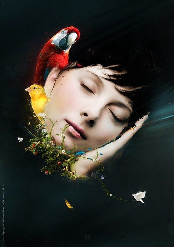 **** фото превью