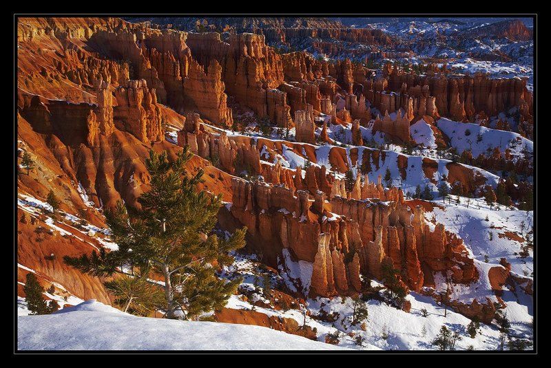 Зима в Мегаполисе фото превью