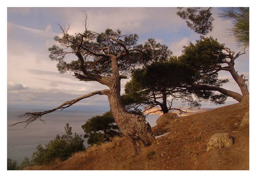 , Юрий Охлопков