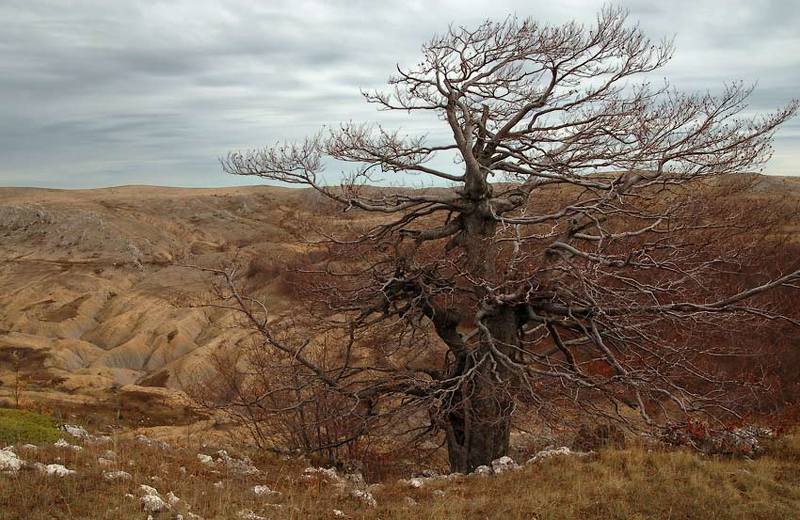 Караби, урочище Чигенитра фото превью
