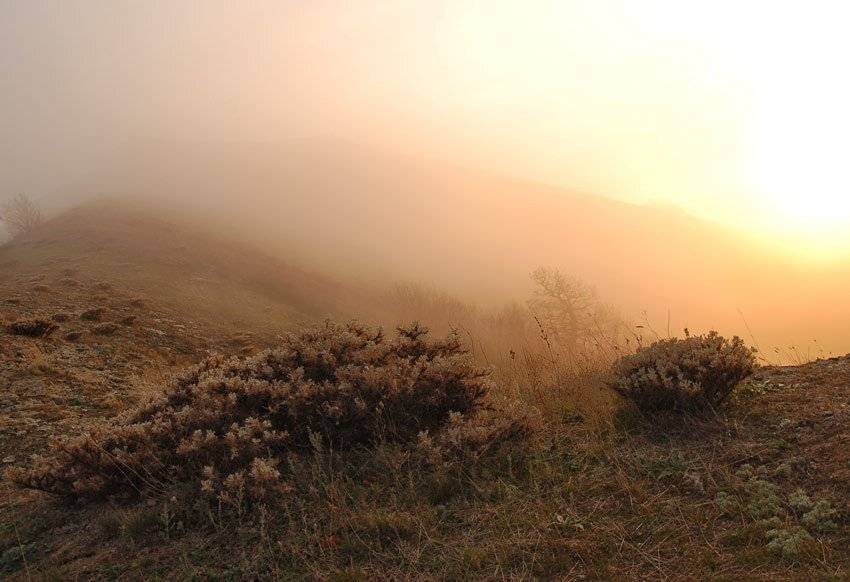 , Юрий Охлопков