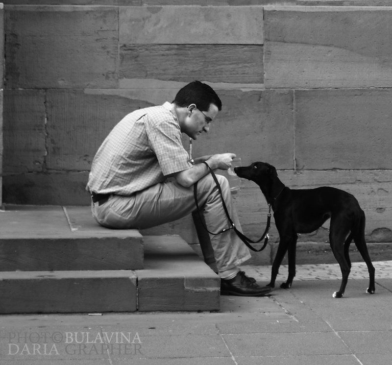 О лучших друзьях... фото превью