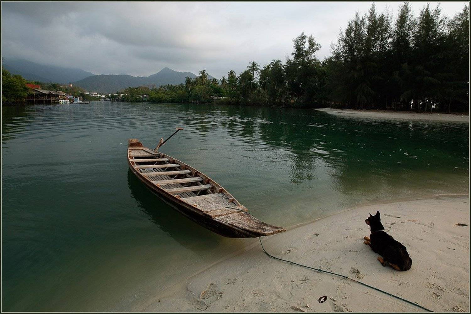 таиланд, ко, чанг, собака, залив, лодка, ожидание, причал, море, песок, Ханмурзин Павел