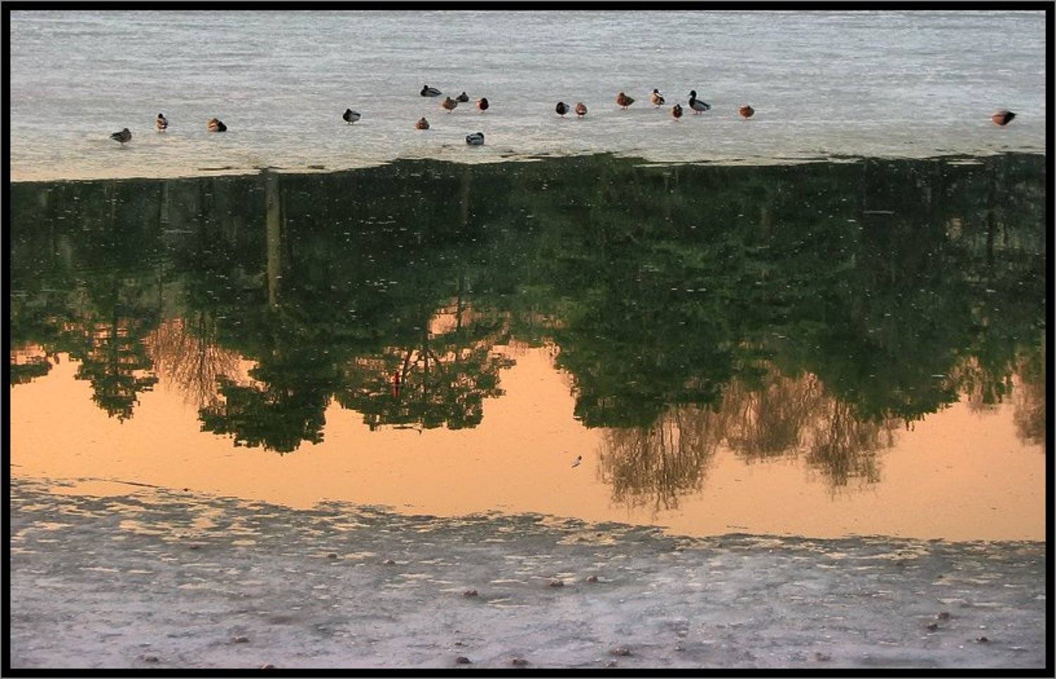 , Лунный Ежик