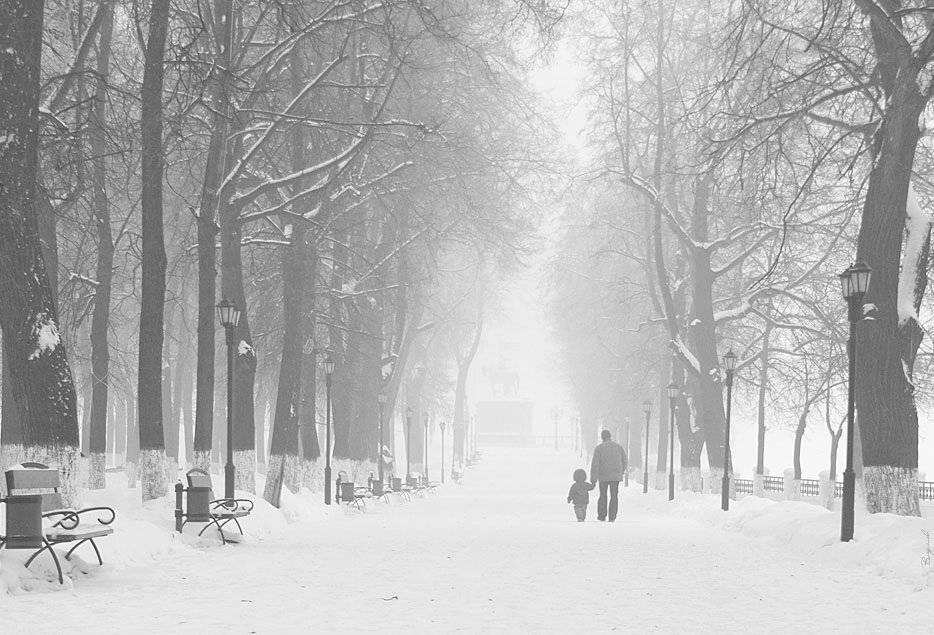 , Владислав