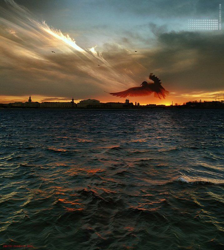 www,zhamkov,com дмитрий жамков пейзаж питер нева чайка арт бутик дмтрия жамкова Питерский Феникс фото превью