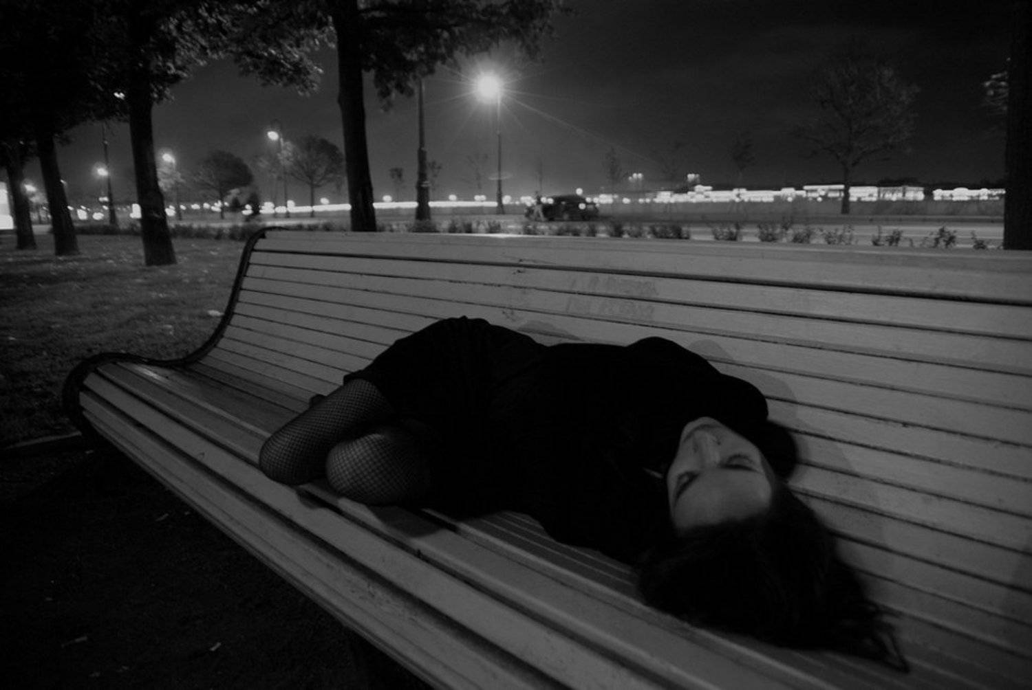 where,   bluebirds,  fly, Deep in Violet