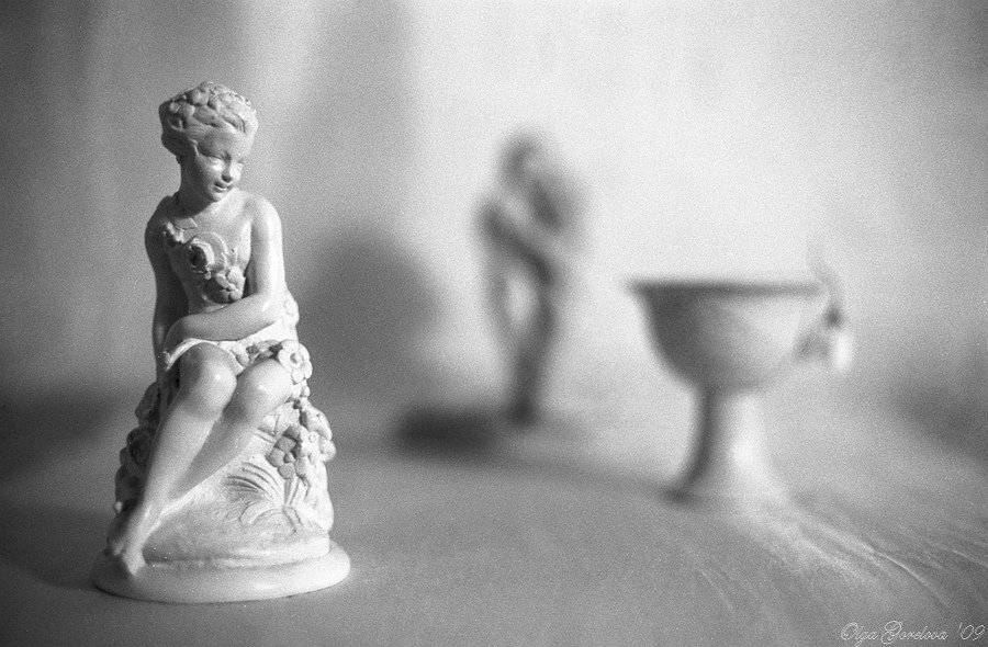 фото, цветок, чб, пленка, натюрморт, Ольга Горелова