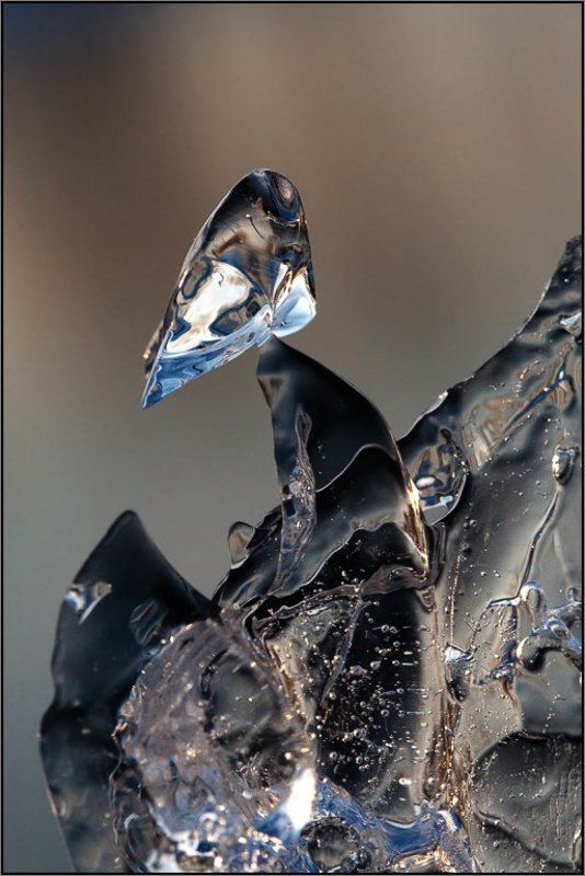 Ледяная пташка фото превью