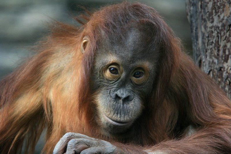 Поговорим? фото превью