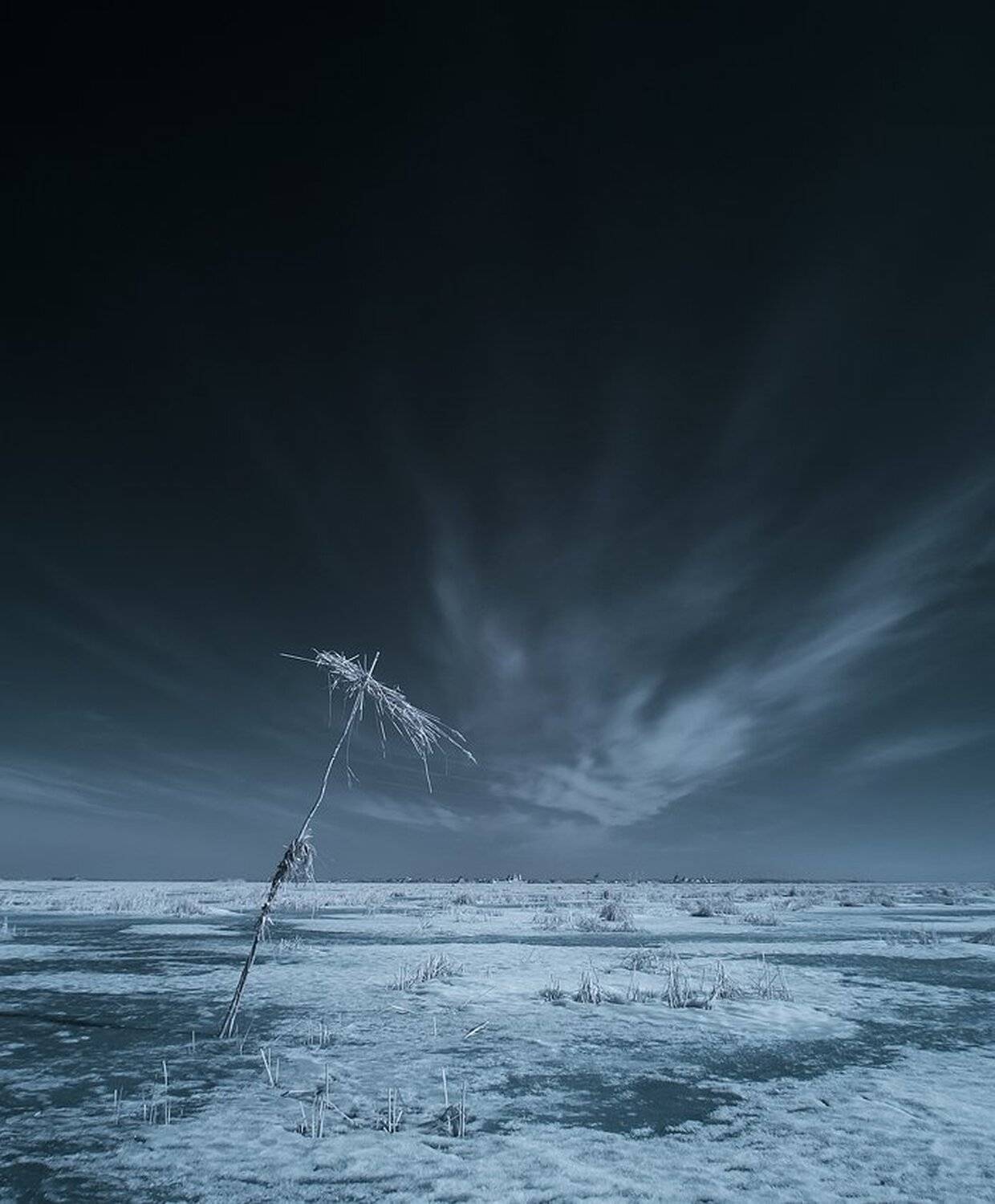 , Максим Евдокимов