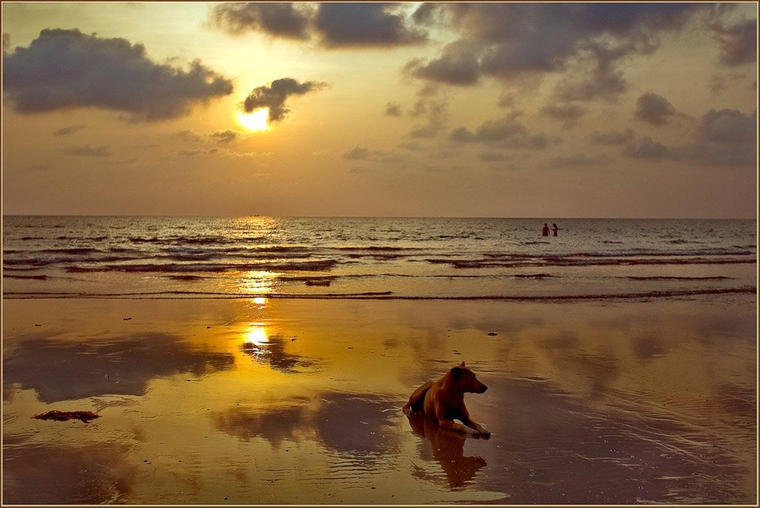 таиланд, ко чанг, волна, закат, собака, Ханмурзин Павел