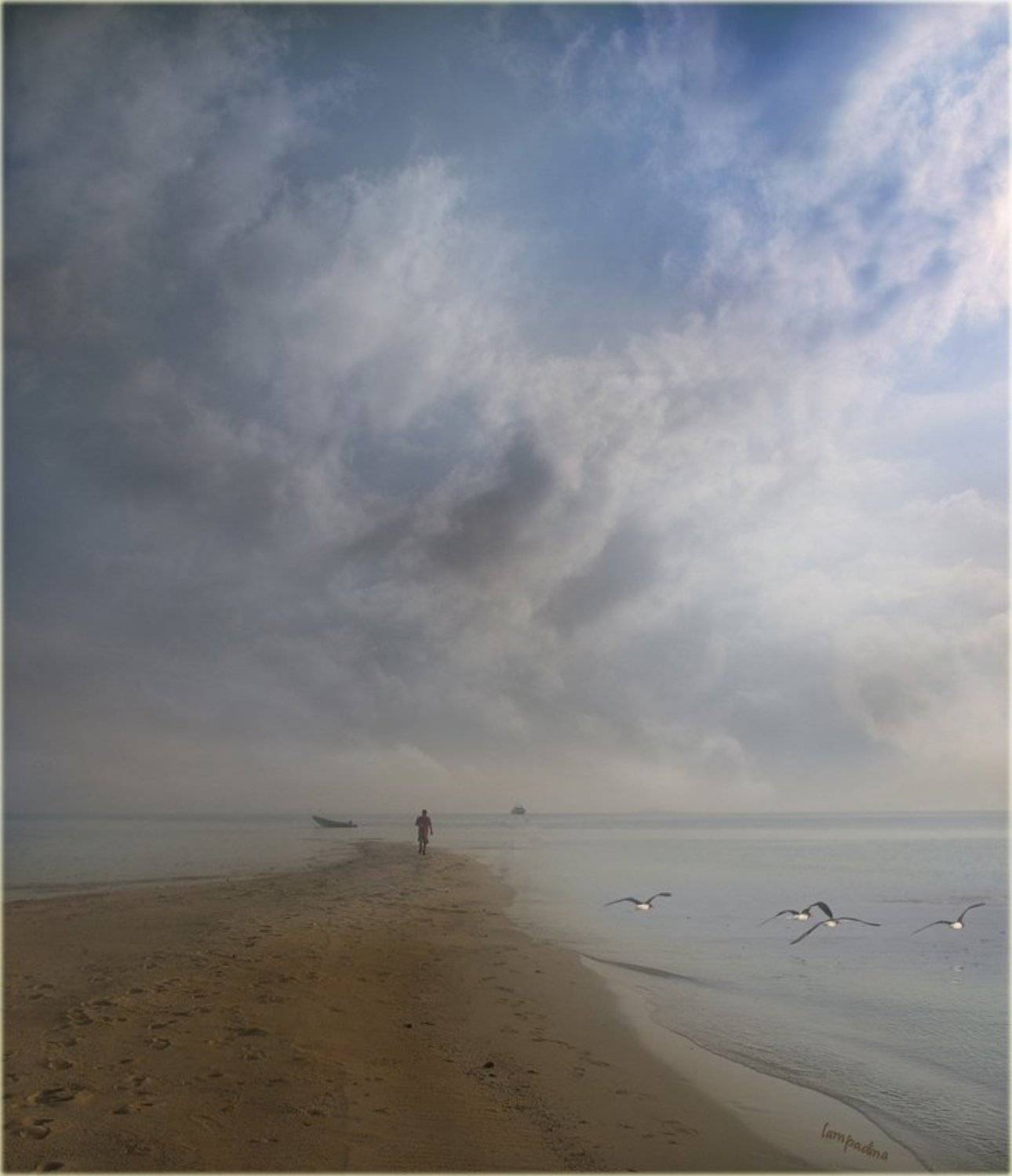 красное море, судан, закат, осров, человек, чайки, одиночество, Lampadina (Svetlana Maximova)