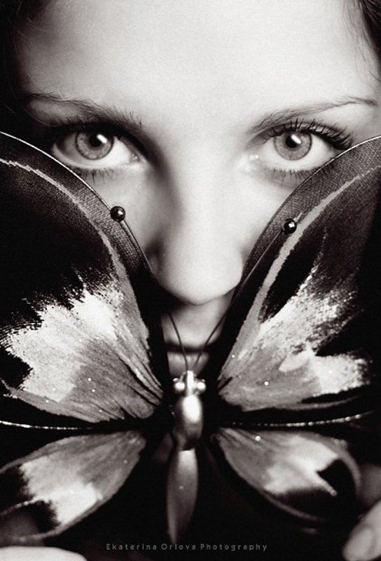 Butterfly фото превью