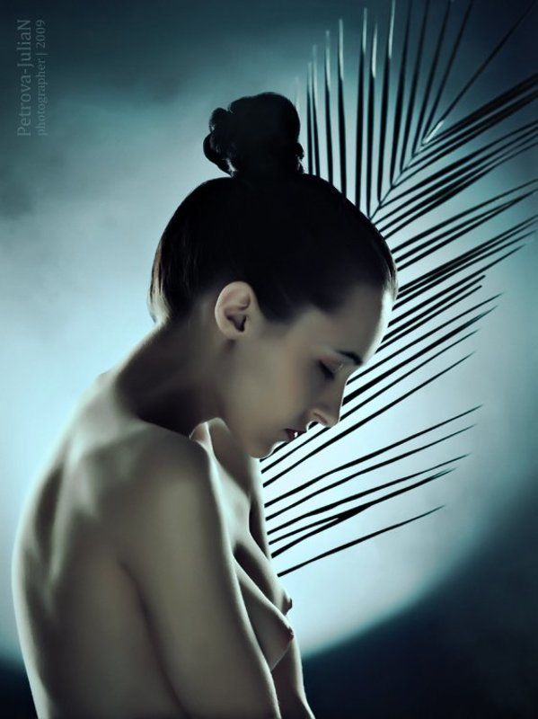 Night dreams фото превью