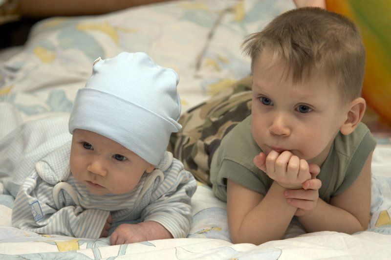 Парочка-два подарочка. фото превью