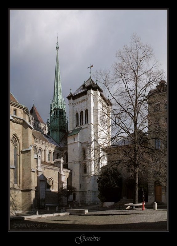 Из белого камня фото превью