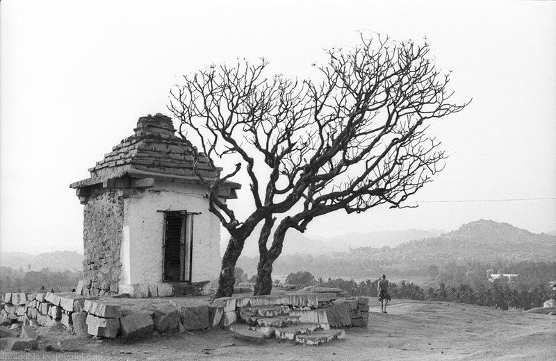 прошлое фото превью