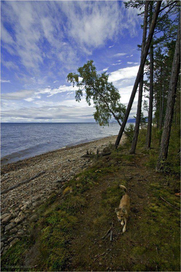 , Виктор Перякин