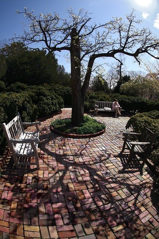 Cкверный отдых. (отдых в сквере) фото превью