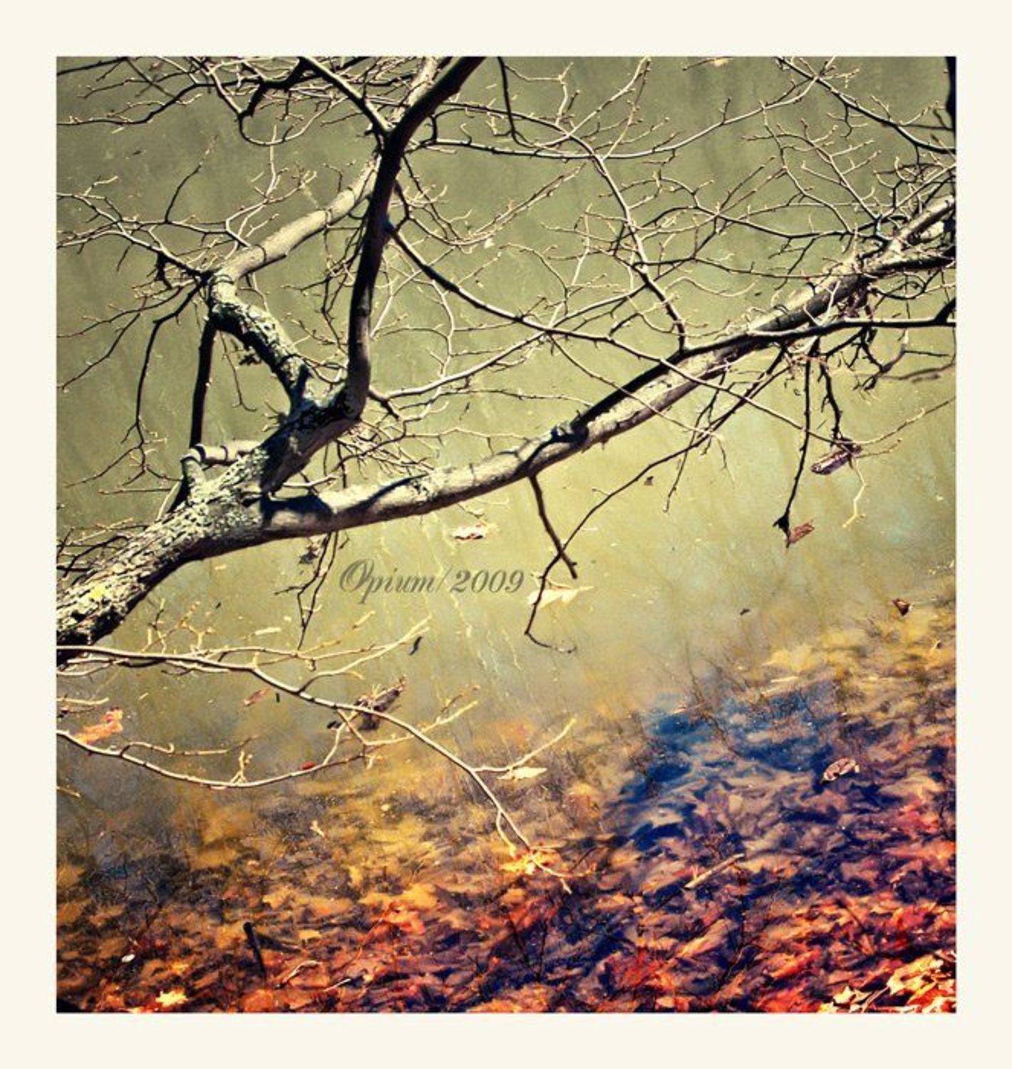 вода,дерево, Svetlana Bekhtina