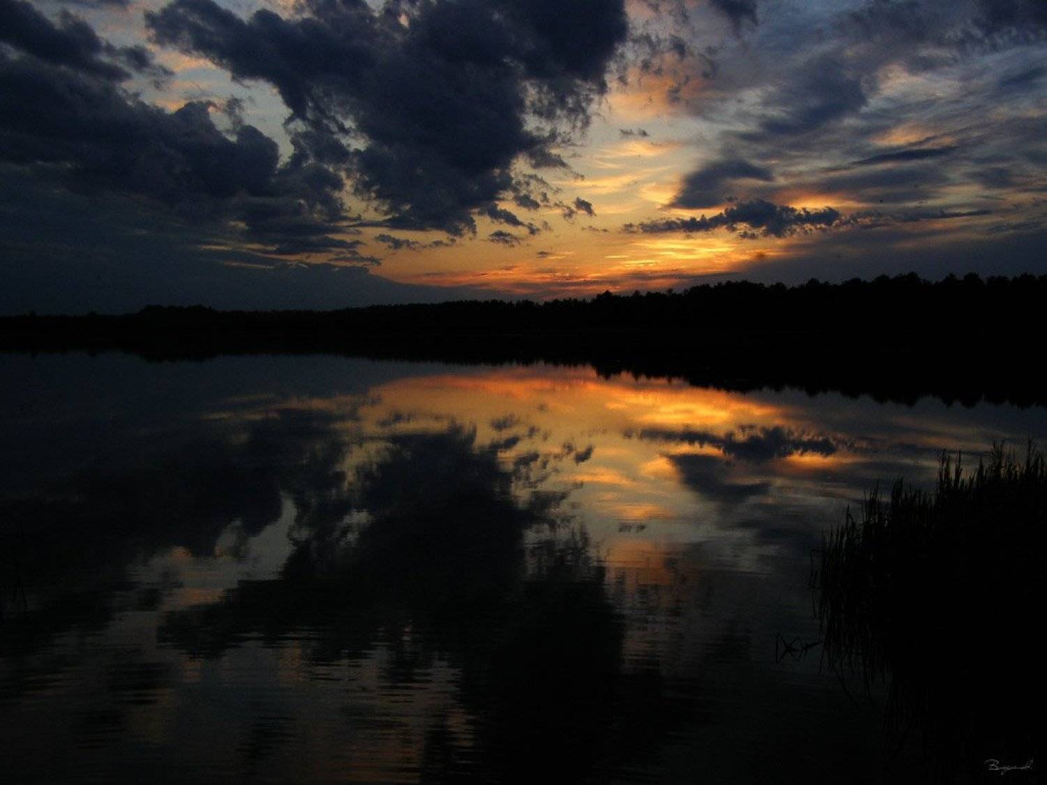 , Владислав