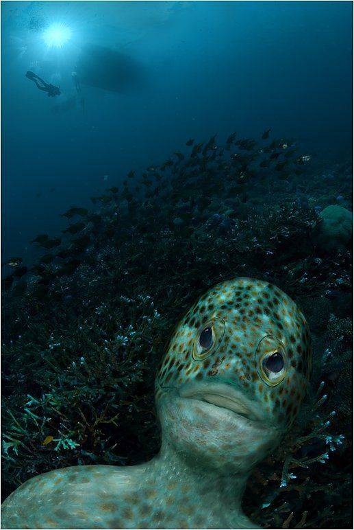 берегите, природу, Сергей Шанин