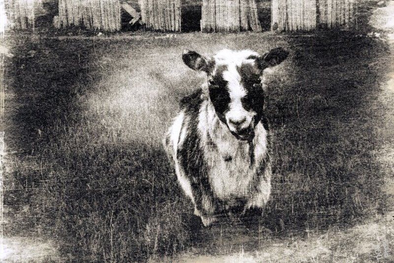 ... фото превью