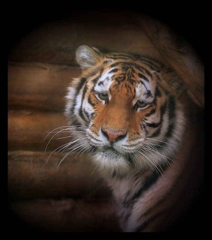 Grief фото превью