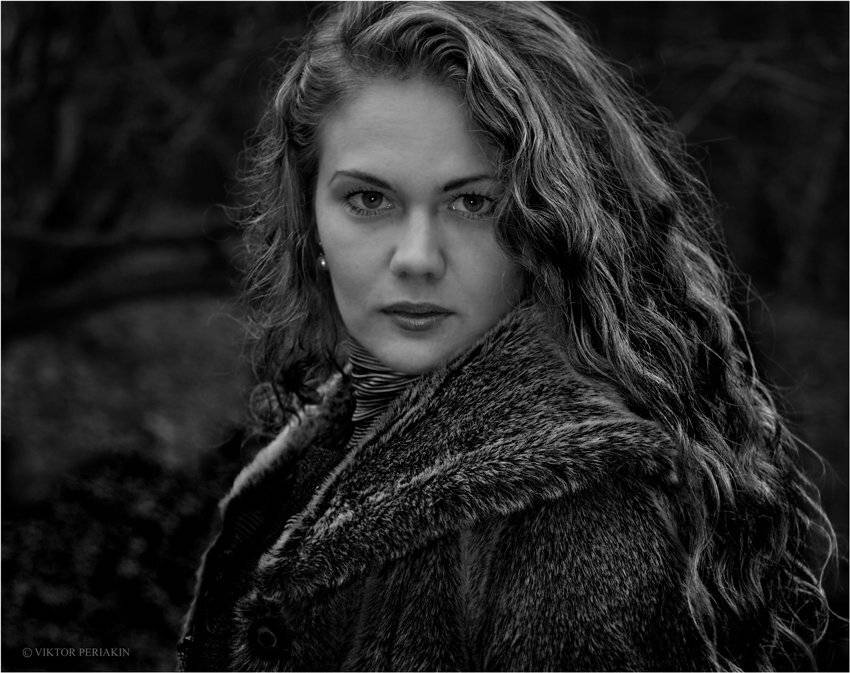 , Виктор Перякин