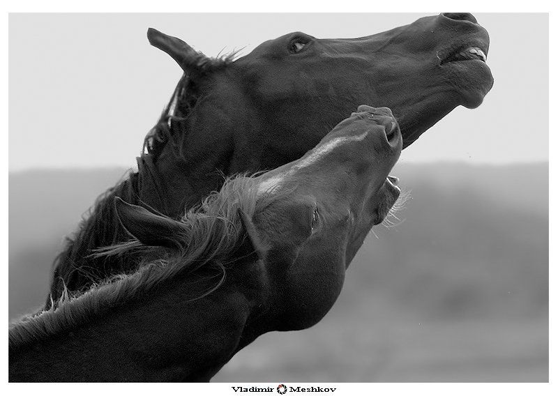 Emotions.