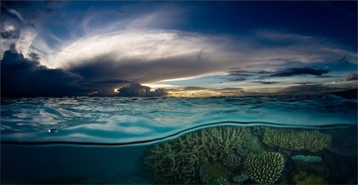 сплит, Нетушки