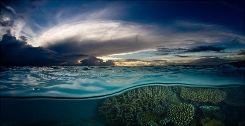 И было утро ... фото превью