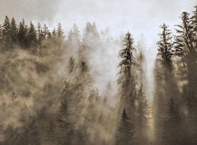 , Андрей  Золочевский