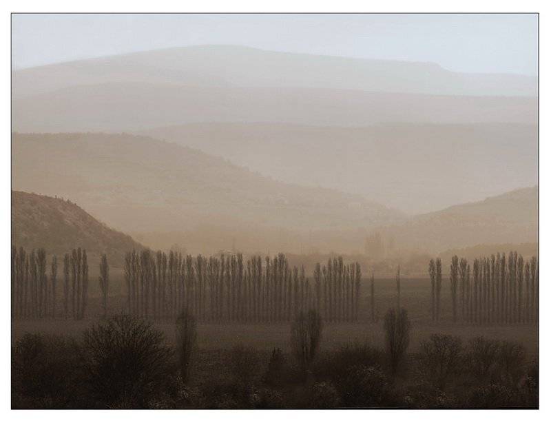 , Андрей  Золочевский