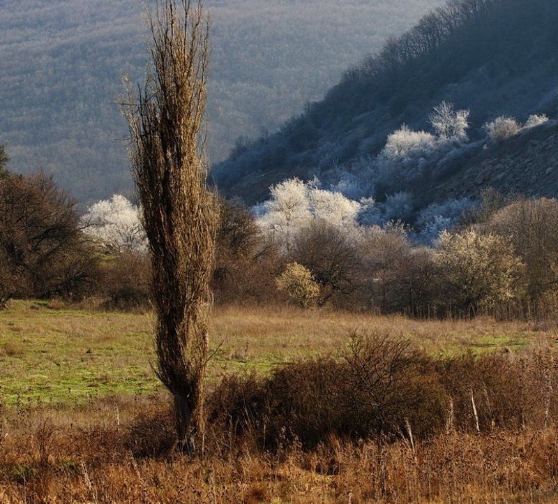 к весне-2 фото превью