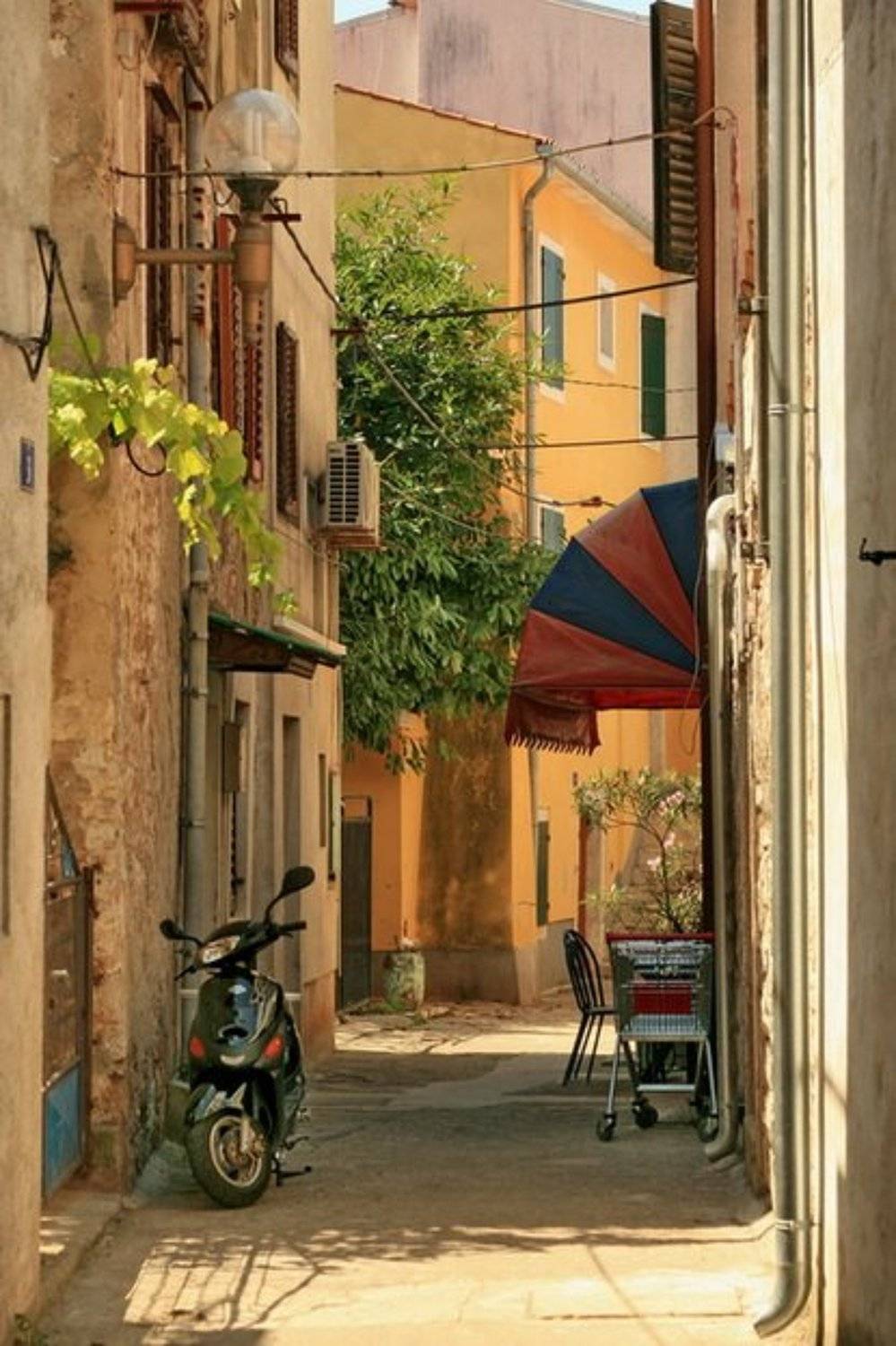 хорватия, Егор Кочуров